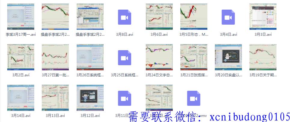 李斌期货现货股票期权一期培训视频课程-外汇日内波段交易系统