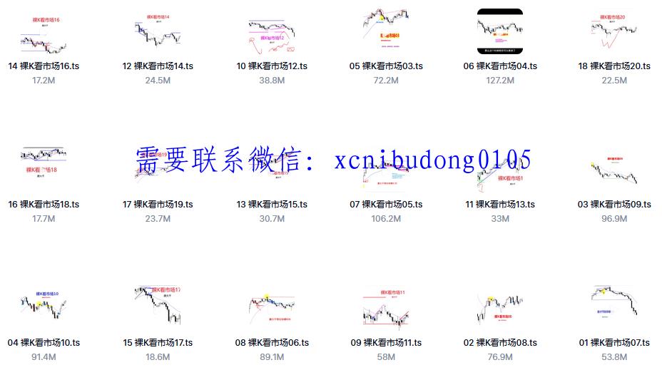 硕迎商学院唐大千  裸K看市场 期货外汇培训视频课程