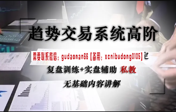 趋势交易法 2周私教:针对有趋势交易法基础却无法稳定盈利的朋友 视频课程