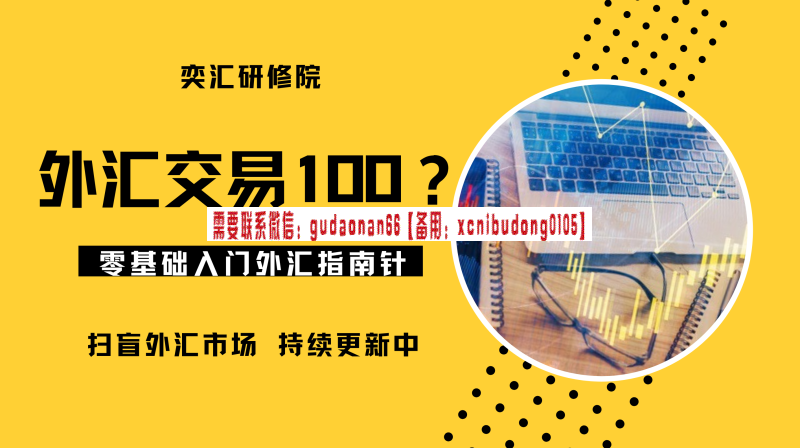 奕汇研修院亦大老师天马老师【外汇市场100问】外汇市场知识大全外汇视频课程-期货波段交易技巧