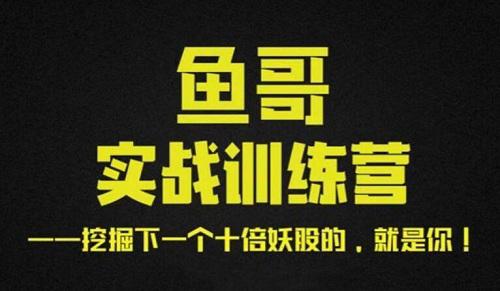 鱼哥 鱼哥实战超短训练营视频+讲义视频课程-期货数据分折师课程