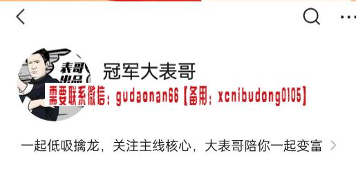 冠军大表哥 主线核心专栏 大表哥价值百万投资课，低吸擒龙情绪周期-期货训练营课程视频