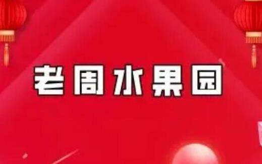 老周水果园 复利周师兄短线周期主升 圈内教学文档-期货课程全套视频